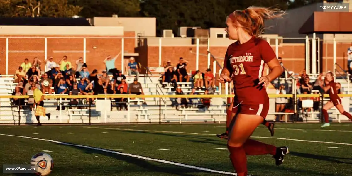 为什么选择我们